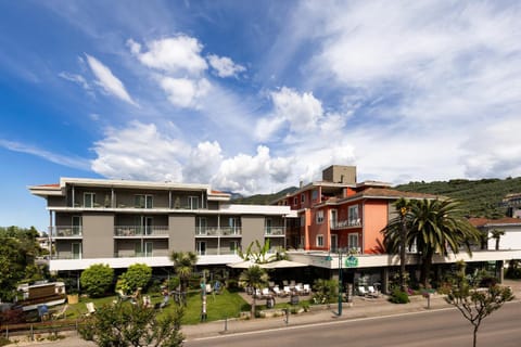 Property building, Garden, Garden view