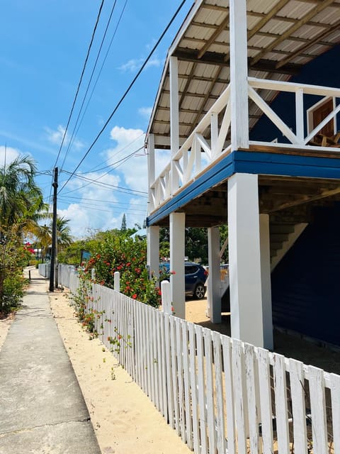 The Flying Toucan Haus in Placencia