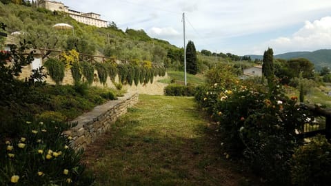 Agriturismo Il Torrino Estadia em quinta in Umbria