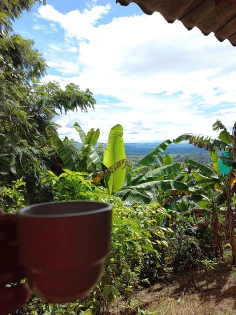 Alojamiento Rural Café Yarumo Country House in Quindio, Colombia