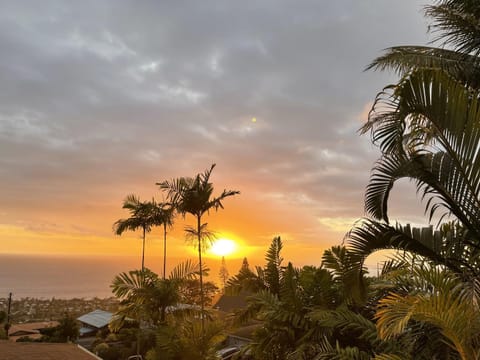 Pool view, Sea view, Sunset