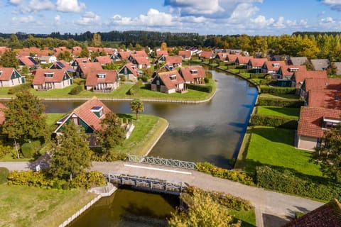 Bird's eye view, Location