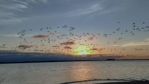 Natural landscape, Beach, Sunset