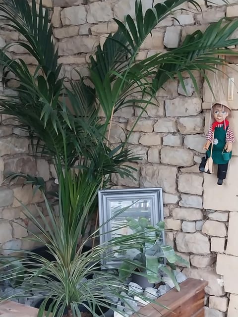 Studio chaleureux en hyper centre Apartment in Wallonia, Belgium