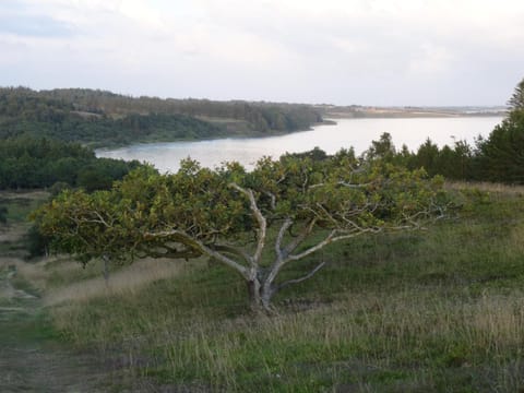 Skibstedborg - naturhytte i Thy House in Central Denmark Region