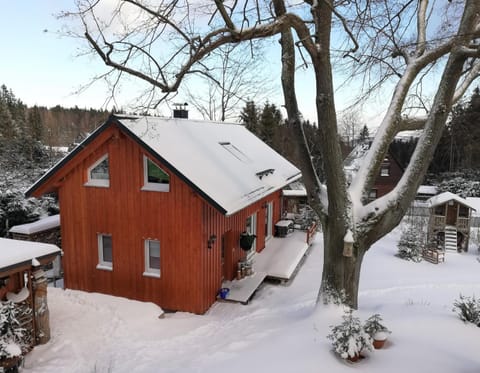 Property building, Winter