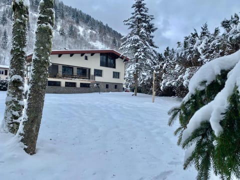 LE VERTBRUCHE - Gîte avec superbe vue pour 15 pers House in La Bresse