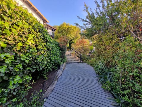 Day, Garden, Garden view