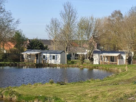 Lake view