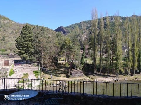 casa sobre rio Noguera Pallaresa Apartment in Pallars Jussà