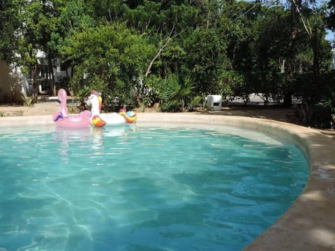 Day, Pool view, Swimming pool