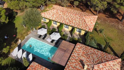 Bird's eye view, Swimming pool