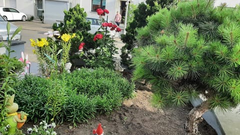 Ferienwohnung Andreea Apartment in Saarlouis