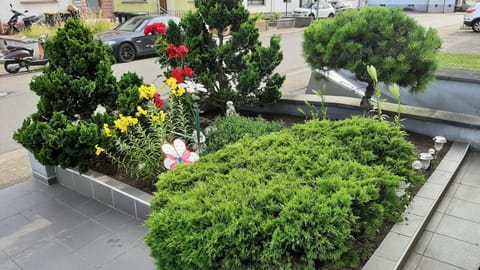 Ferienwohnung Andreea Apartment in Saarlouis