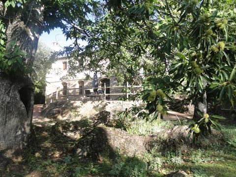 Finca la Colorá Country House in Sierra de Huelva