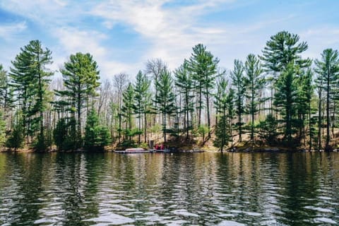 Lakeside Cottage On Muskoka Shores Maison in Seguin