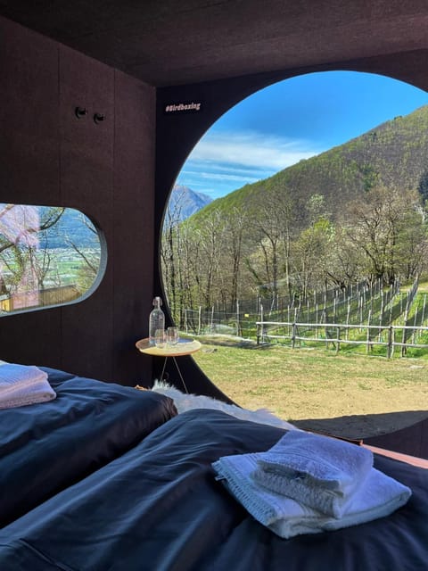 Birdbox Curzútt Luxury tent in Bellinzona