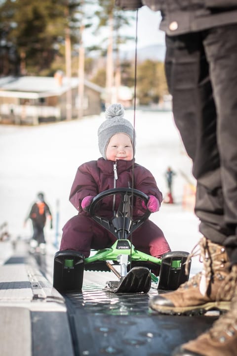 Winter, Skiing, Family