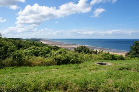 Natural landscape