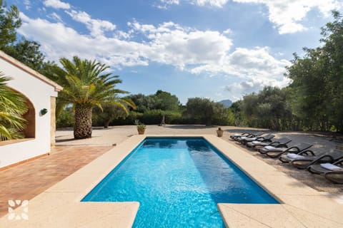 Spring, Day, Natural landscape, Garden, Garden view, Pool view, Swimming pool, sunbed