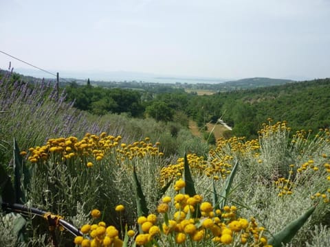 casaemilia2 Apartment in Umbria