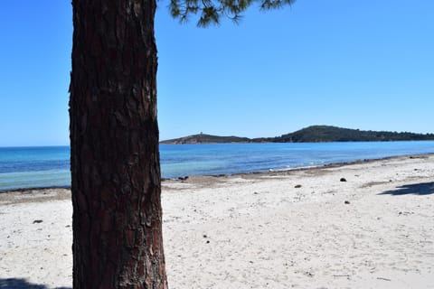 Beach, Area and facilities