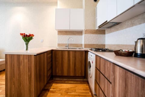 Просторная квартира Баку Apartment in Baku