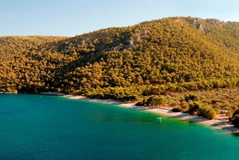 Natural landscape, Beach