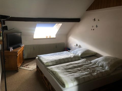 Ironico Homestay Bostalsee Ferienwohnung 100 m2 Eigentumswohnung in Nohfelden