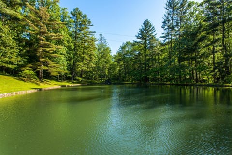 Bull Creek Peaceful Escape House in Swannanoa