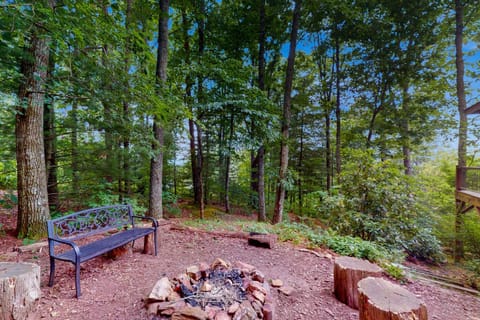 Elkhorn Cabin & Eagles Wing Lodge House in Asheville