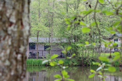 Warrenwood Country Park Terrain de camping /
station de camping-car in Hailsham