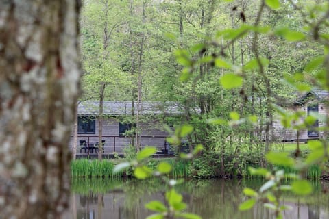 Warrenwood Country Park Campeggio /
resort per camper in Hailsham