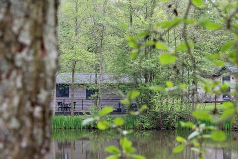 Warrenwood Country Park Parque de campismo /
caravanismo in Hailsham