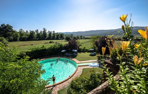 Natural landscape, Garden view, Pool view, Swimming pool, Swimming pool