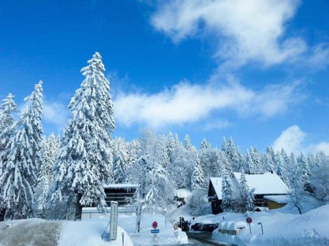 Natural landscape, Winter