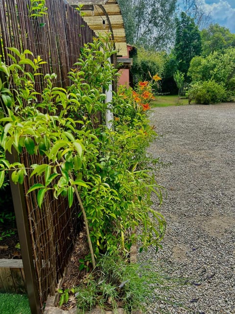 Spring, Garden, Garden view