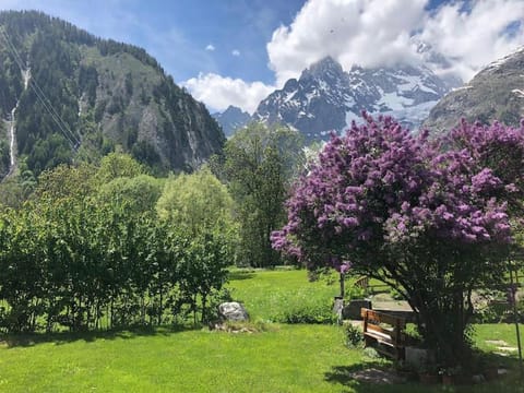 Garden, Mountain view