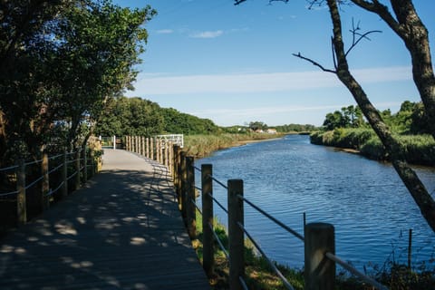 Natural landscape, River view