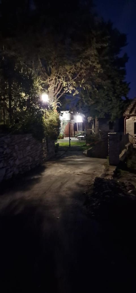 Night, Garden view