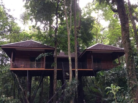 Khao Sok Nature Resort Resort in Khlong Sok