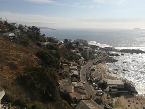 Departamento en la playa Apartment in Vina del Mar