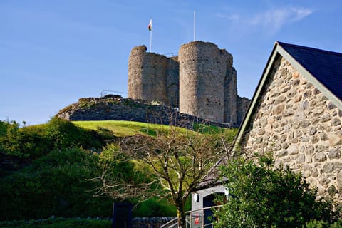 Porthyraur castle view, beach, parking,EV point Pet friendly House in Criccieth