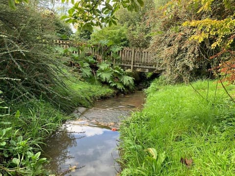 Stunning detached house near Bruton Casa in Bruton