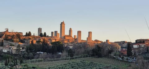 Home sweet home Apartment in San Gimignano