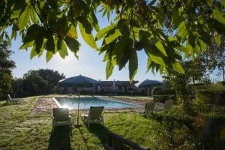 Garden, Pool view