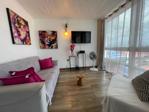 PENTHOUSE 10 MIN port croisière et aéroport Apartment in Les Abymes