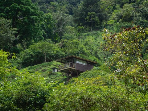 Property building, Garden view, Mountain view