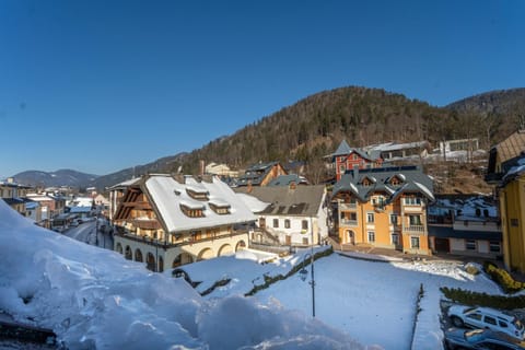 Penthouse Central apartments vista Monte Priesnig Wohnung in Tarvisio