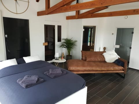 Bed, Sauna, Steam room, Living room, Spa and wellness centre/facilities, Photo of the whole room, Seating area, Bedroom, towels